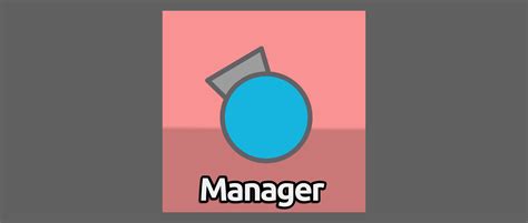 manager diepio